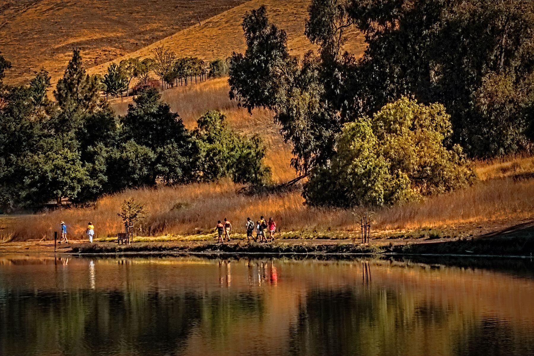 Penitencia Creek near Milpitas in warm evening light